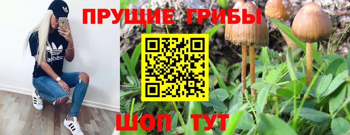 Галлюциногенные грибы мицелий Кызыл