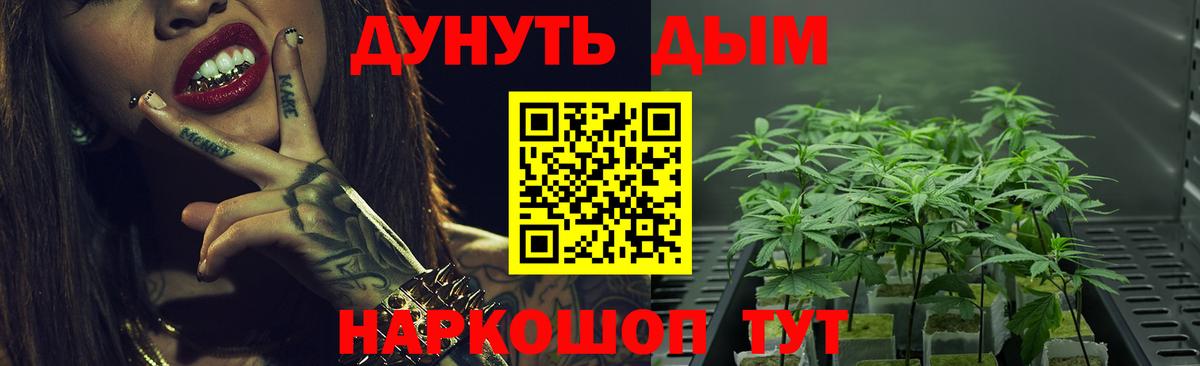 Кызыл  Шишки марихуана гибрид  Вход с VPN  Бошки Шишки гибрид  Бошки марихуана White Widow  Конопля планчик 